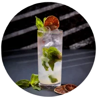 Mojito Tradional